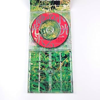 Amazon.co.jp: CDS 小沢健二 ある光/美しさ シングルCD : おもちゃ